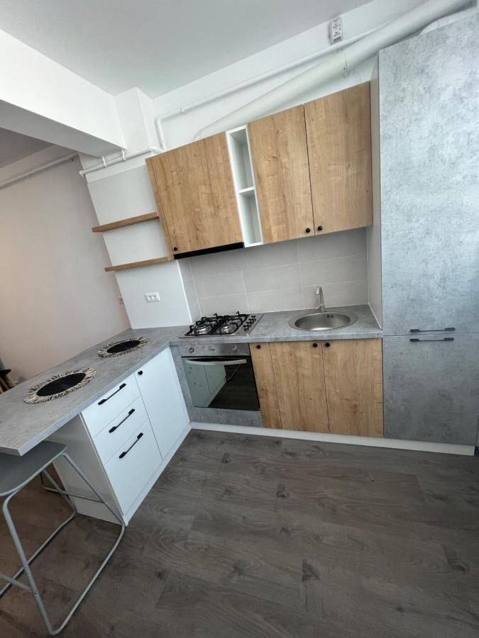 Sunny Apartments Suceava 64 Exterior foto